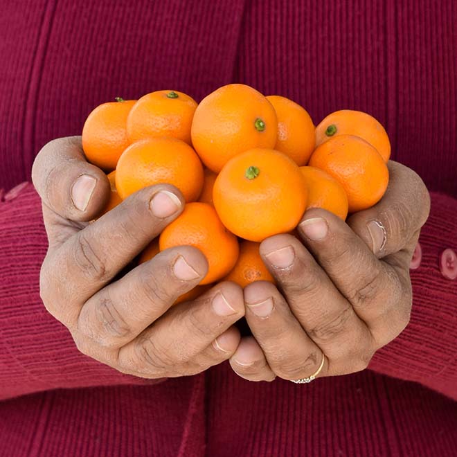 Tangerine (Narangi)