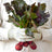 Beetroot with Leafs