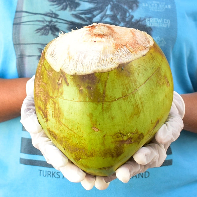 Tender Coconut (Coconut Water)