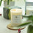 Scented Soy Candle (Frangipani)